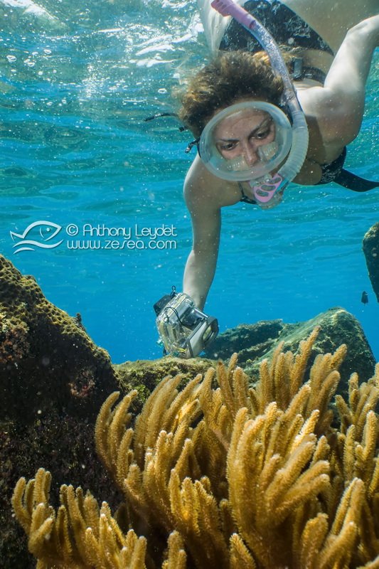 La pratique su snorkeling aux Perhentians