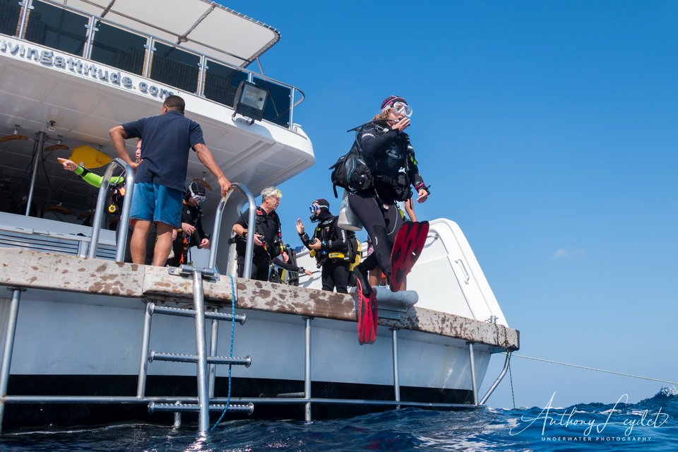 Mise à l'eau en saut droit depuis la plateforme arrière du bateau