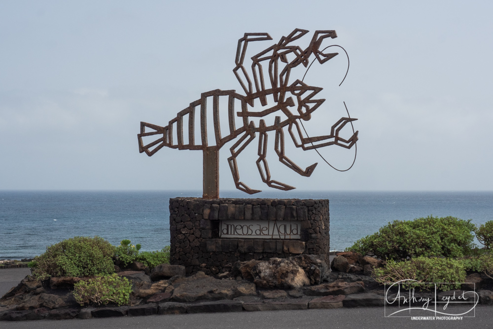 Jameos del Agua à Lanzarote