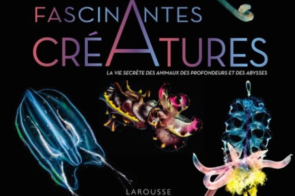 Beau-livre Fascinantes créatures, la vie secrète des animaux des profondeurs et des abysses